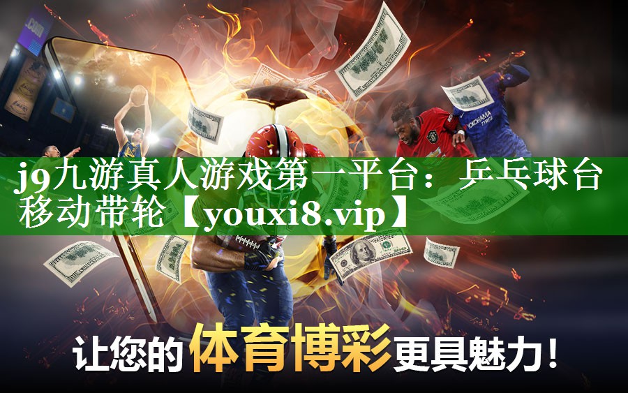 乒乓球台移动带轮