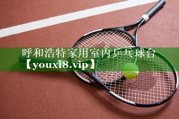 呼和浩特家用室内乒乓球台 呼和浩特家用室内乒乓球台